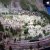 Mini-World-2023